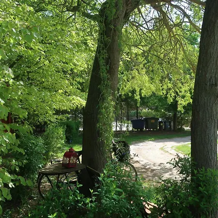 Cztery Wiatry - Dziwnówek