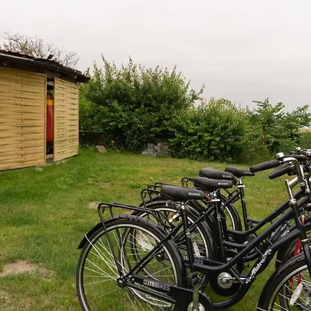 Cztery Wiatry - Dziwnówek