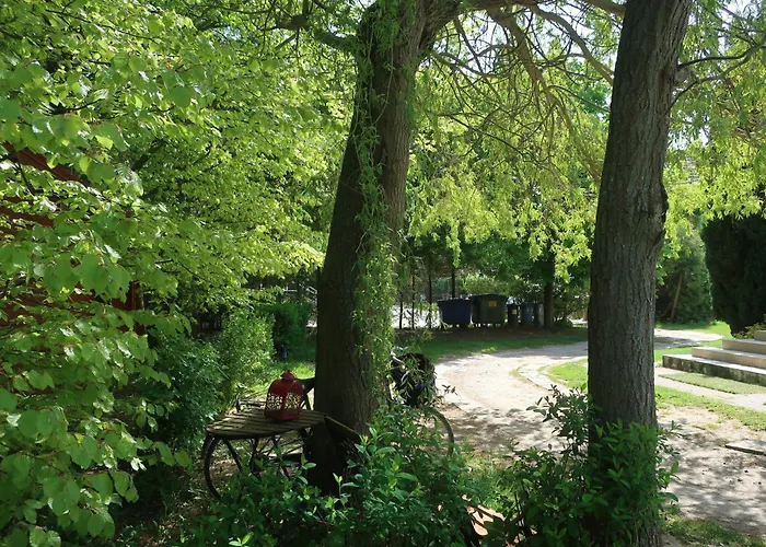 Cztery Wiatry - Dziwnówek