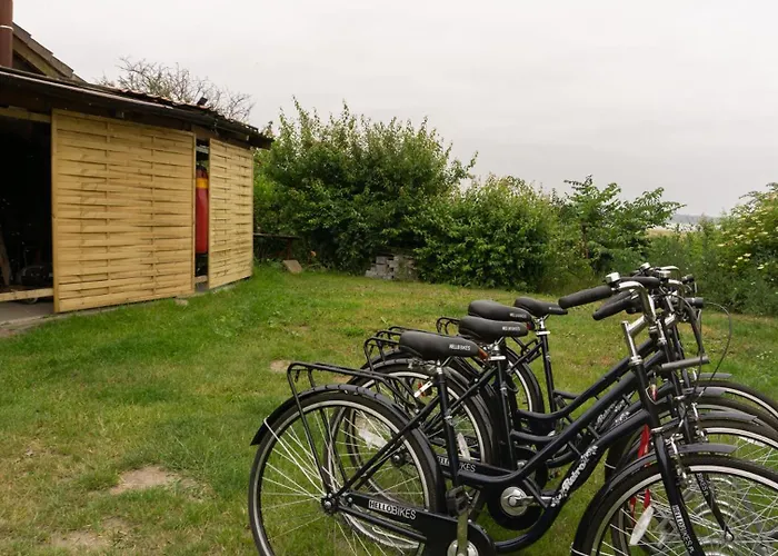 Cztery Wiatry - Dziwnówek